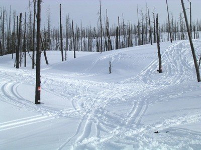 В феврале 2005, 17 снегоходов были конфискованы за езду по запрещенной территории в Йеллоустонском национальном парке