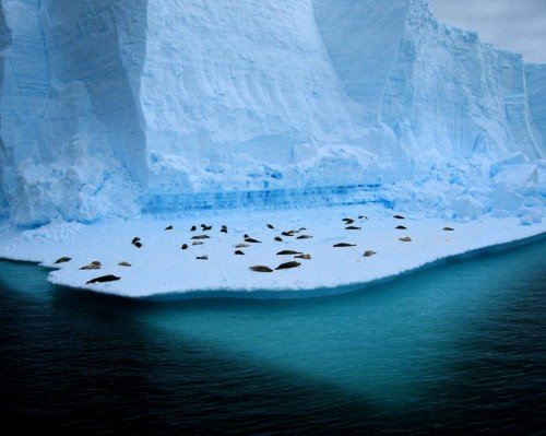 фото: Антарктика