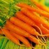 Морковь - сладкий корешок