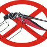 Как спастись от комаров? Народные и химические средства.